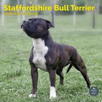 Staffordshire Bull Terrier Kalender 2026