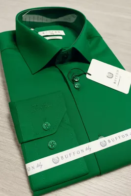 Buffon - Herenoverhemd - Groen - Harde Kraag - Katoen