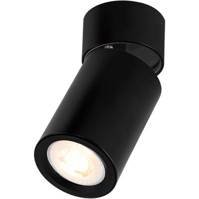 Spot Armatuur GU10 - Pragmi Blank - GU10 Opbouwspot - Rond - Kantelbaar - Zwart - Aluminium - Ø60mm