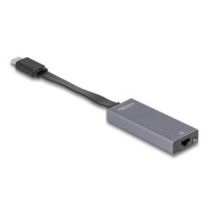 DeLOCK 66248 tussenstuk voor kabels RJ-45 USB C Grijs