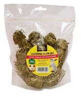 UTOPIA LUZERNE BLOKJES