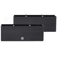 Bloembak/plantenbak met irrigatiesysteem - Set van 2x stuks - Rato - antraciet - 51 x 19 x 18 cm