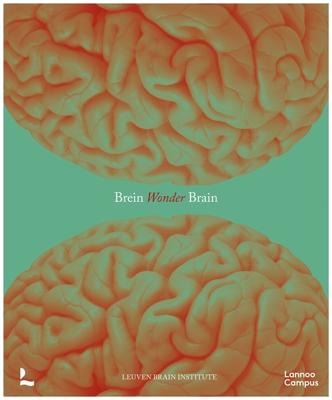 BREINWONDER / WONDER BRAIN - Mathieu Vandenbulcke, Ann Van der Jeugd - ebook