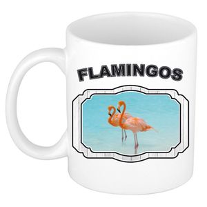 Dieren flamingo beker - flamingos/ flamingo vogels mok wit 300 ml