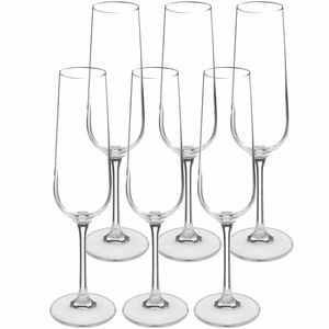 Champagneglazen set Lena - doosje 24x stuks - chique transparant glas - 20 CL