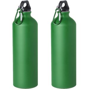 2x Stuks aluminium waterfles/drinkfles groen met schroefdop en karabijnhaak 800 ml