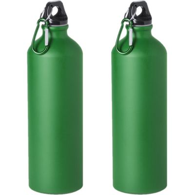 2x Stuks aluminium waterfles/drinkfles groen met schroefdop en karabijnhaak 800 ml