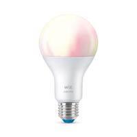 WiZ Lichtbron13W - E27 - Led 2200-6500K - 929002449702