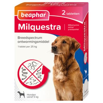 Beaphar Beaphar Milquestra hond 5 - 50kg (2 tab)