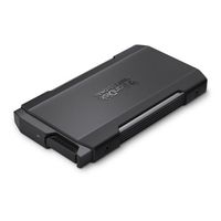 SanDisk Professional SSD Pro Blade Transport Type C 1TB