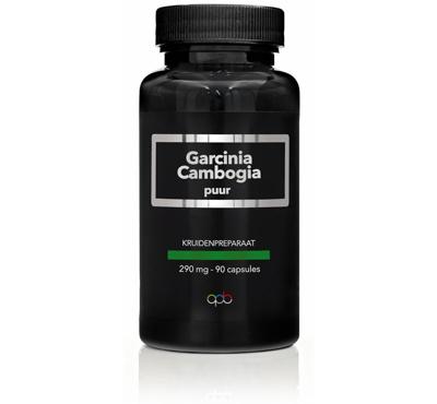 Apb Holland Garcinia cambogia 290mg puur