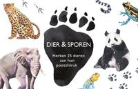 Dier & sporen - thumbnail