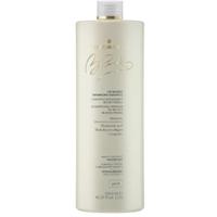 Medavita Blondie Ice Blonde Enhancing Shampoo 1250ml