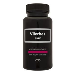 Apb Holland Vlierbes/sambucus nigra 500mg puur