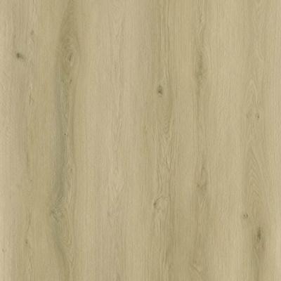 Sense - SPC EXL510 Serie EXLargo (Klik PVC)