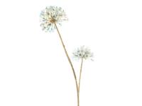 Kunstbloem allium holografic cream, 78 cm - Hortus