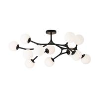 Stars of Light Design plafondlampMaragall 12-lichts zwart - 39529