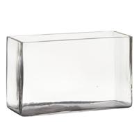 Hakbijl Glass Vaas - transparant - rechthoek - glas - 25 x 10 x 15 cm - Bloemstukje/terrarium vaas Hakbijl Glass Vaas - transparant - rechthoek - glas - 25 x 10 x 15 cm - Bloemstukje/terrarium vaas
