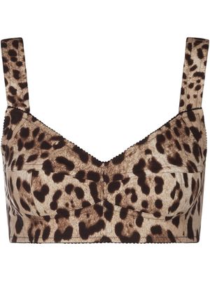 Dolce & Gabbana brassière à motif léopard - Marron