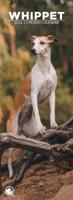 Whippet Slimline Kalender 2026