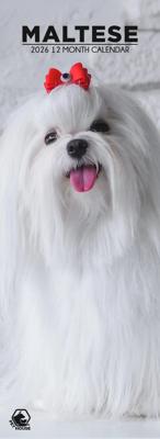 Maltezer Slimline Kalender 2026