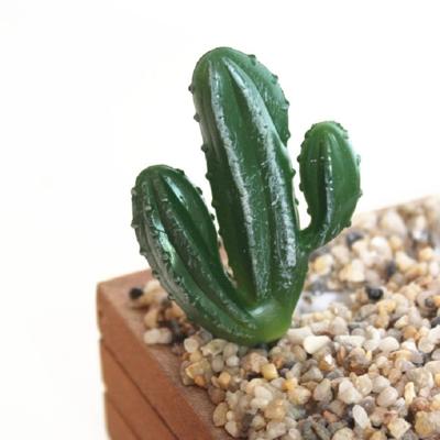 2 stuks kunstmatige mini cactus tuin landschap thuiskantoor decoratie stijl: een cactus