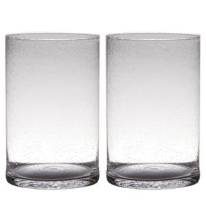 Set van 2x stuks transparante home-basics cylinder vorm vaas/vazen van bubbel glas 30 x 19 cm