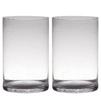 Set van 2x stuks transparante home-basics cylinder vorm vaas/vazen van bubbel glas 30 x 19 cm