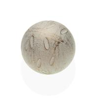 Decoratieve figuren Versa Wit