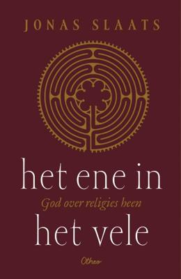 Het ene achter het vele (Paperback)