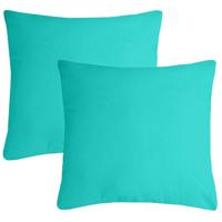 Stof Textile sierkussen Nelson - 2x - aqua blauw - 40 x 40 cm - bank kussens - polyester Stof Textile sierkussen Nelson - 2x - aqua blauw - 40 x 40 cm - bank kussens - polyester