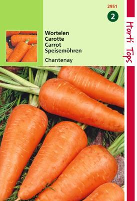 HT Wortelen Chantenay - Hortitops