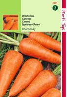 HT Wortelen Chantenay - Hortitops