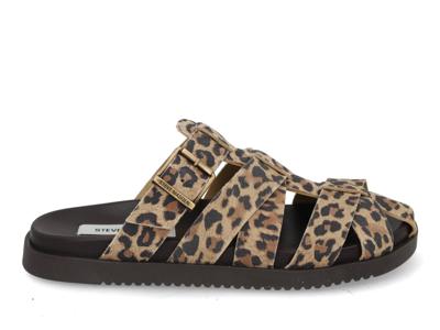 Steve Madden Mamba leopard multi bruin maat 37
