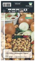 Zomer Bloembollen Uien Sturon (per 500 gram) Baltus - Baltus