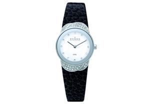 Horlogeband Skagen 818SSLB Leder Zwart