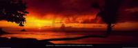 Kunstdruk Tom Mackie - Tropical Beach at Sunset 95x33cm