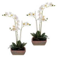 Set van 2x stuks witte orchidee Orchidaceae kunstplanten in terracotta pot 50 cm - thumbnail