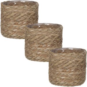 3x stuks naturel bruin rotan planten pot mand van gedraaid jute/riet H14 en D14 cm