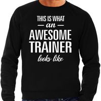 Awesome / geweldige trainer cadeau sweater zwart heren - thumbnail