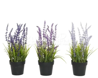 Kunstplant Lavendel 30cm Assorti 1st