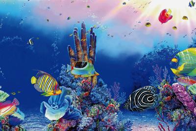 Superfish deco poster f2 60x49 cm - Superfish