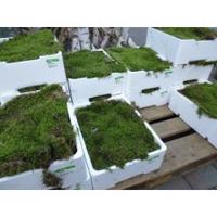 Outlet G: Vier kisten platmos (4 lagen mos per kist) Warentuin Natuurlijk - Warentuin Collection