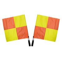 2 LINIER FLAGS SET