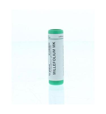 Millefolium 10MK