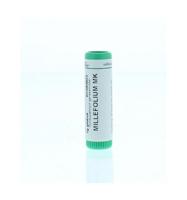 Millefolium 10MK - thumbnail