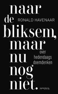 Naar de bliksem, maar nu nog niet - Ronald Havenaar - ebook