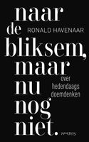 Naar de bliksem, maar nu nog niet - Ronald Havenaar - ebook