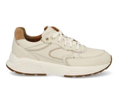 Xsensible Ponte Vecchio 33002.4 105 off white Wit maat 37