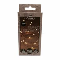 Draadverlichting Zwart 40 LED 2m WW